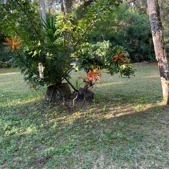 Patchwork jacket - Picture 4 of 4